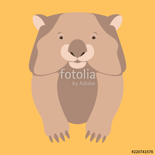 500x500 Wombat Face Vector Illustration Flat Style Front Stock Image And