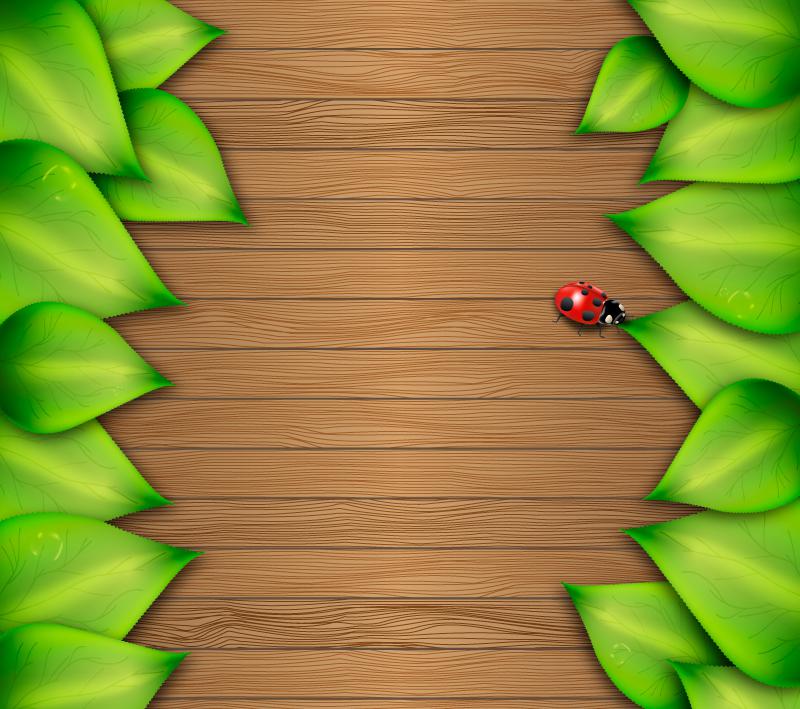 800x709 Beautiful Green Leaves And Wood Grain Background Vector [Ai]