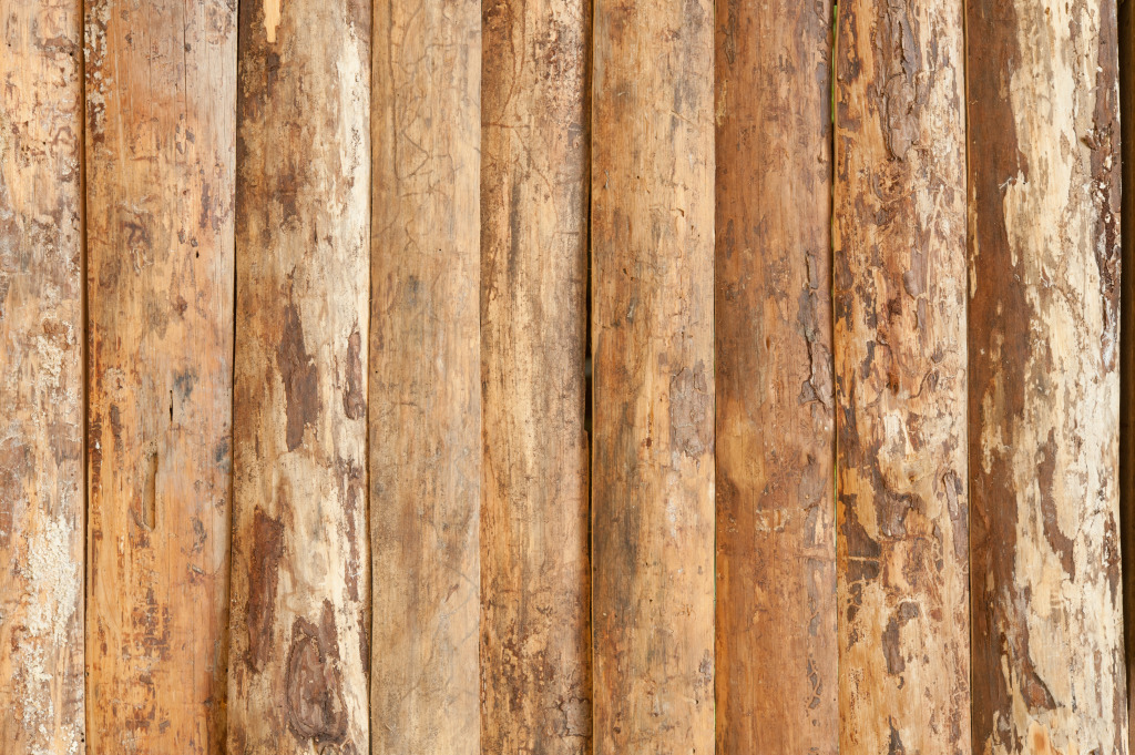 1024x681 Results For Wood Grain Texture Vector Free