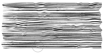 400x218 Illustrator Tutorial Wood Grain