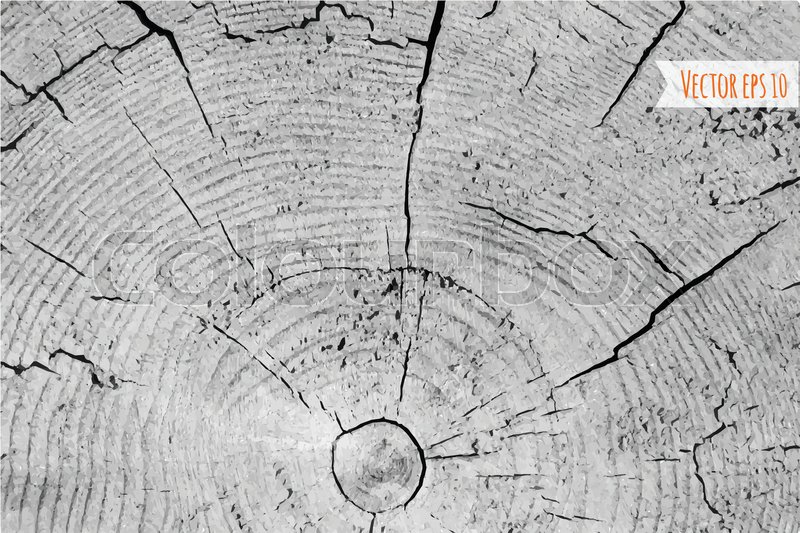 800x533 Wood Texture, Vector Eps10 Illustration. Natural Wooden Background