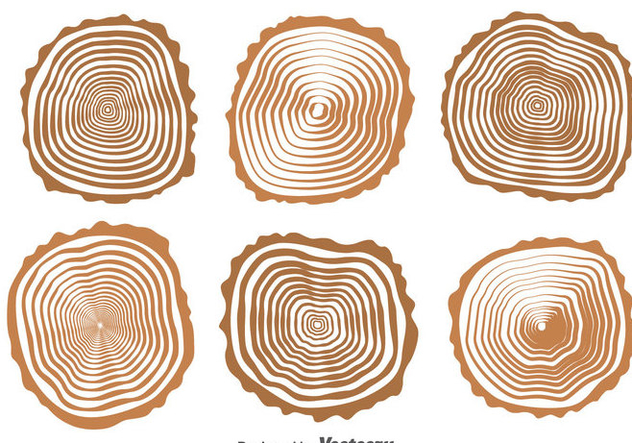 632x443 Wood Logs Collection Vector Free Vector Download 388731 Cannypic