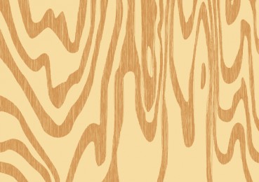 369x260 Wood Vector Texture