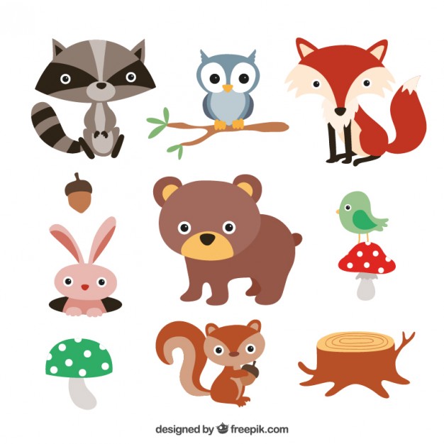 626x626 Cute Forest Animals Vector Free Download