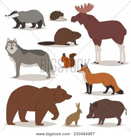 450x470 Forest Animals Vector Cartoon Animalistic Characters Bear Fox And