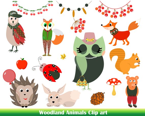 570x456 Premium Woodland Animals Clip Art Cute Animals Vector Animals Etsy