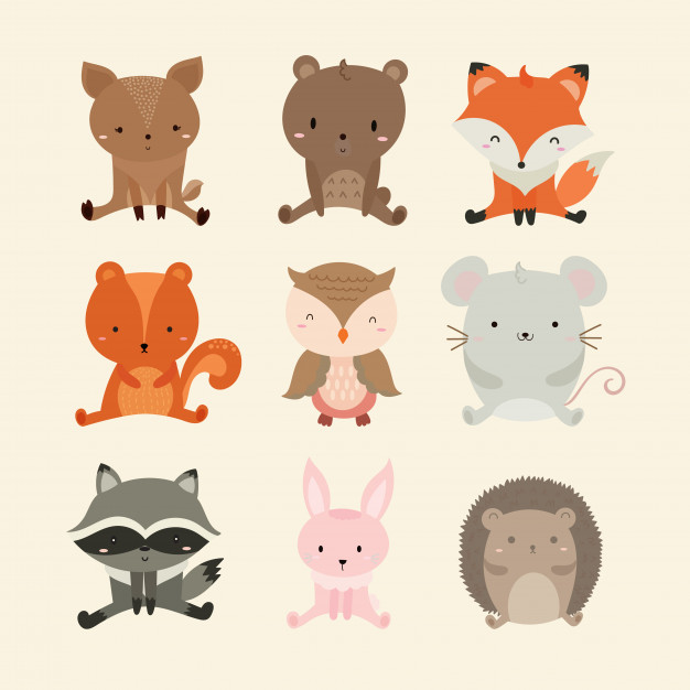 626x626 Set Of Cute Illustration Of Woodland Animals Vector Premium Download