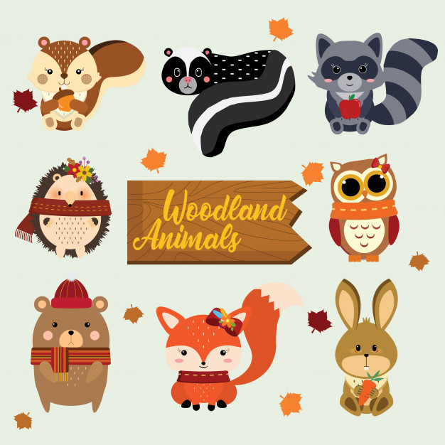 626x626 Woodland Animals Vector Premium Download