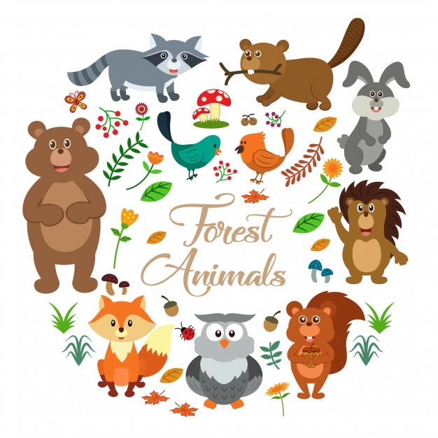 626x626 Woodland Animals Vectors, Photos And Psd Files Free Download