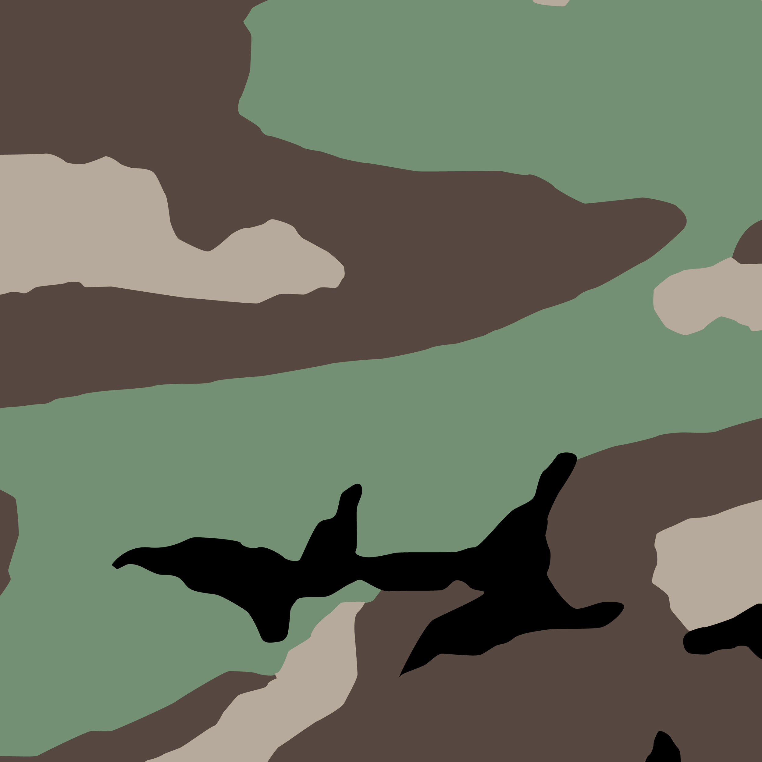 2500x2500 Vector Camo