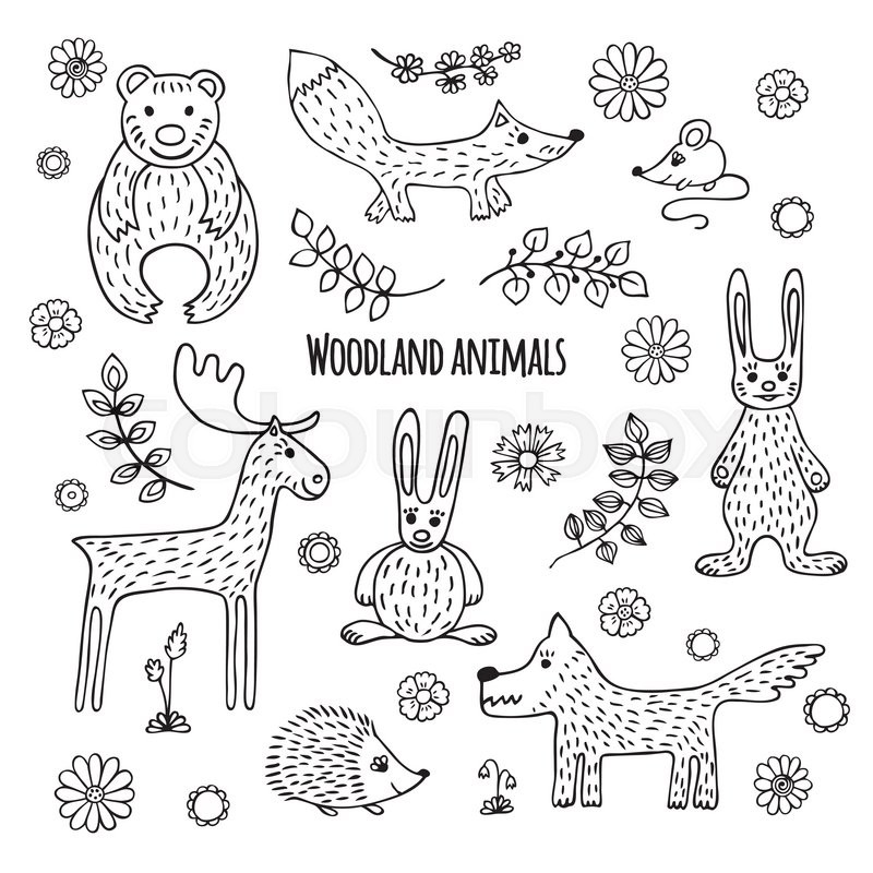 800x800 Cute Vector Set Of Woodland Animals In Cartoon Style. Black And