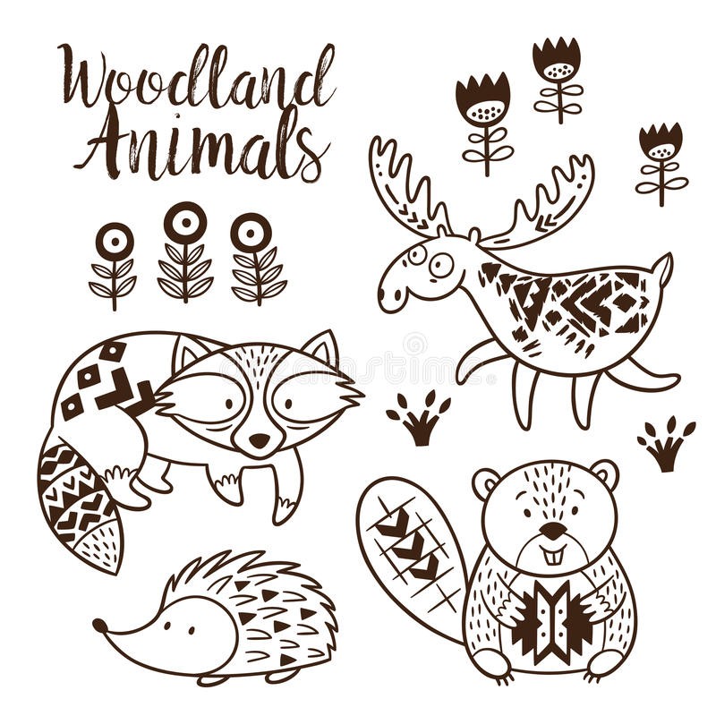 800x800 Decorative Ornamental Woodland Animals Vector Set Animal Coloring