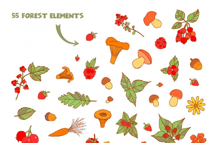 720x479 Woodland Vector Animals + Patterns By Valentina Gurina Art