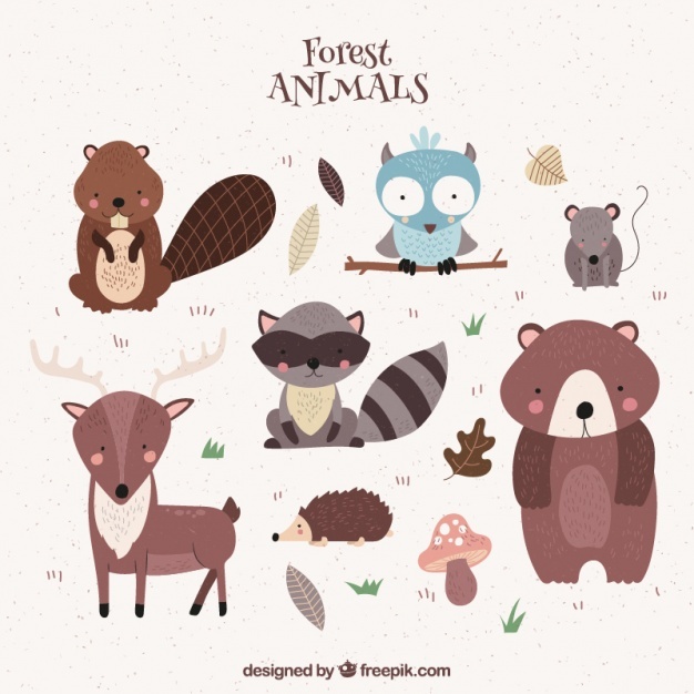 626x626 Woodland Vectors, Photos And Psd Files Free Download