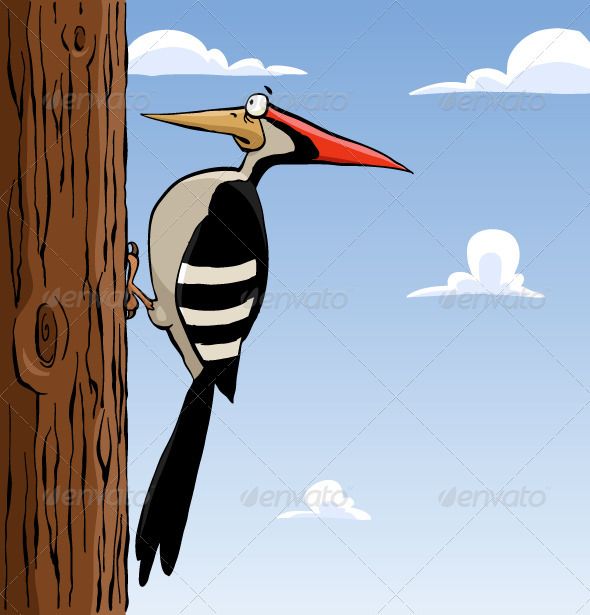 590x615 Woodpecker Woodpeckers, Vector File And Vector Design