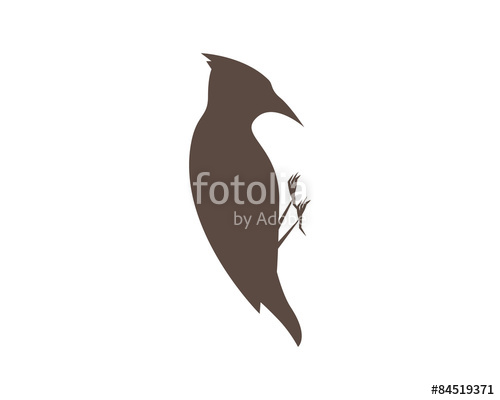 500x400 Woodpecker Silhouette Stock Image And Royalty Free Vector Files