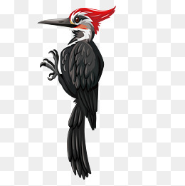 260x261 Woodpecker Vector Png Images Vectors And Psd Files Free