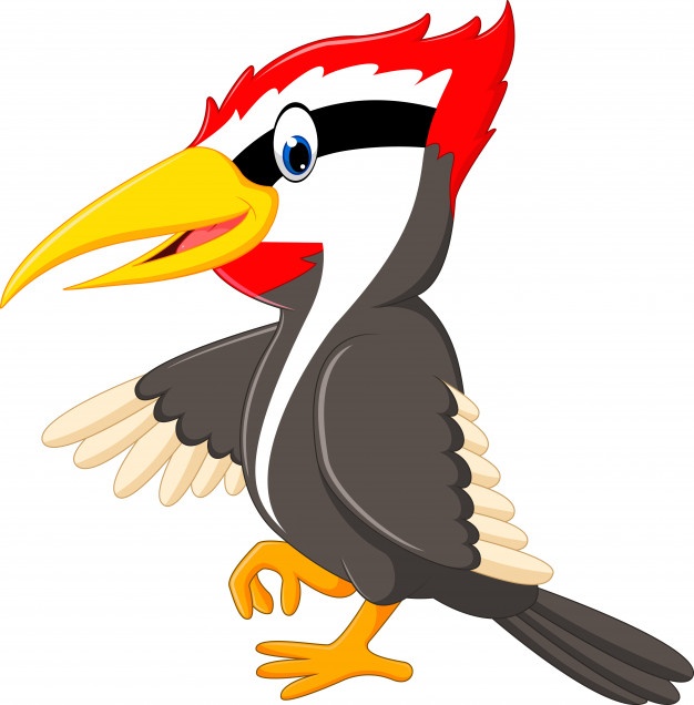 626x636 Woodpecker Vectors, Photos And Psd Files Free Download
