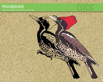 340x270 Woodpecker Vector Etsy