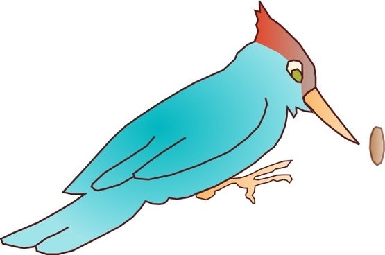 555x368 Woodpeckers Free Vector Download (17 Free Vector) For Commercial