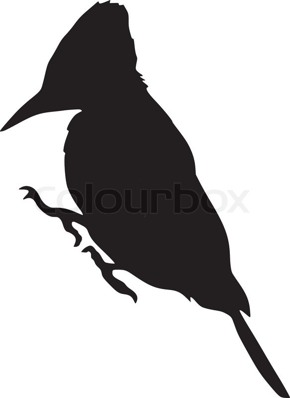 583x800 Silhouette Of Woodpecker Stock Vector Colourbox