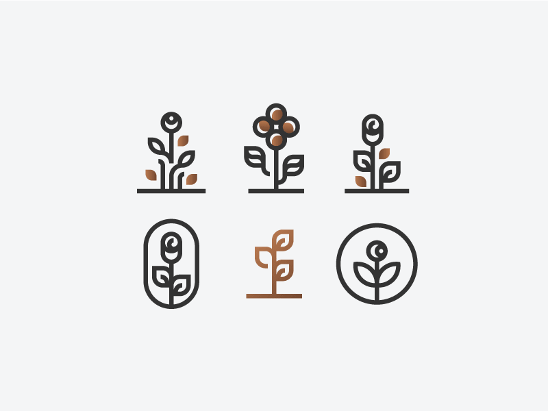 800x600 Wordpress Gallery With Hover Effects Best Wordpress Grid Gallery