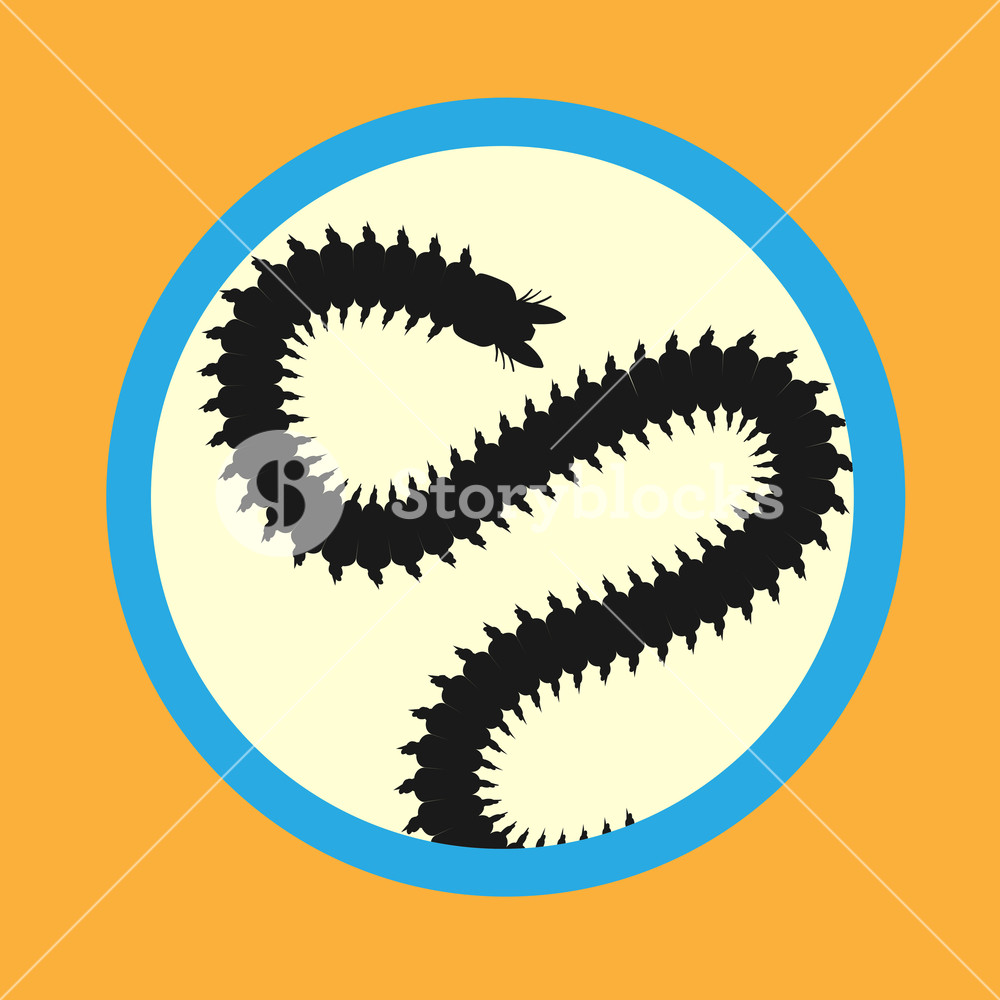 1000x1000 Centipede Worm Vector Illustration Royalty Free Stock Image