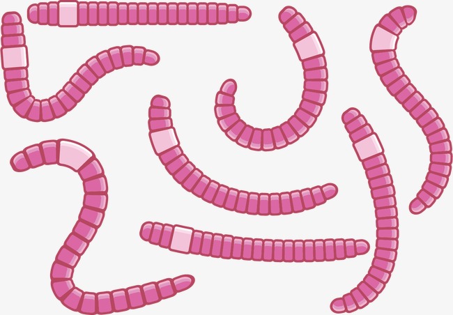 650x452 Earthworm Cartoon Worm, Cartoon Clipart, Worm Clipart, Vector Png