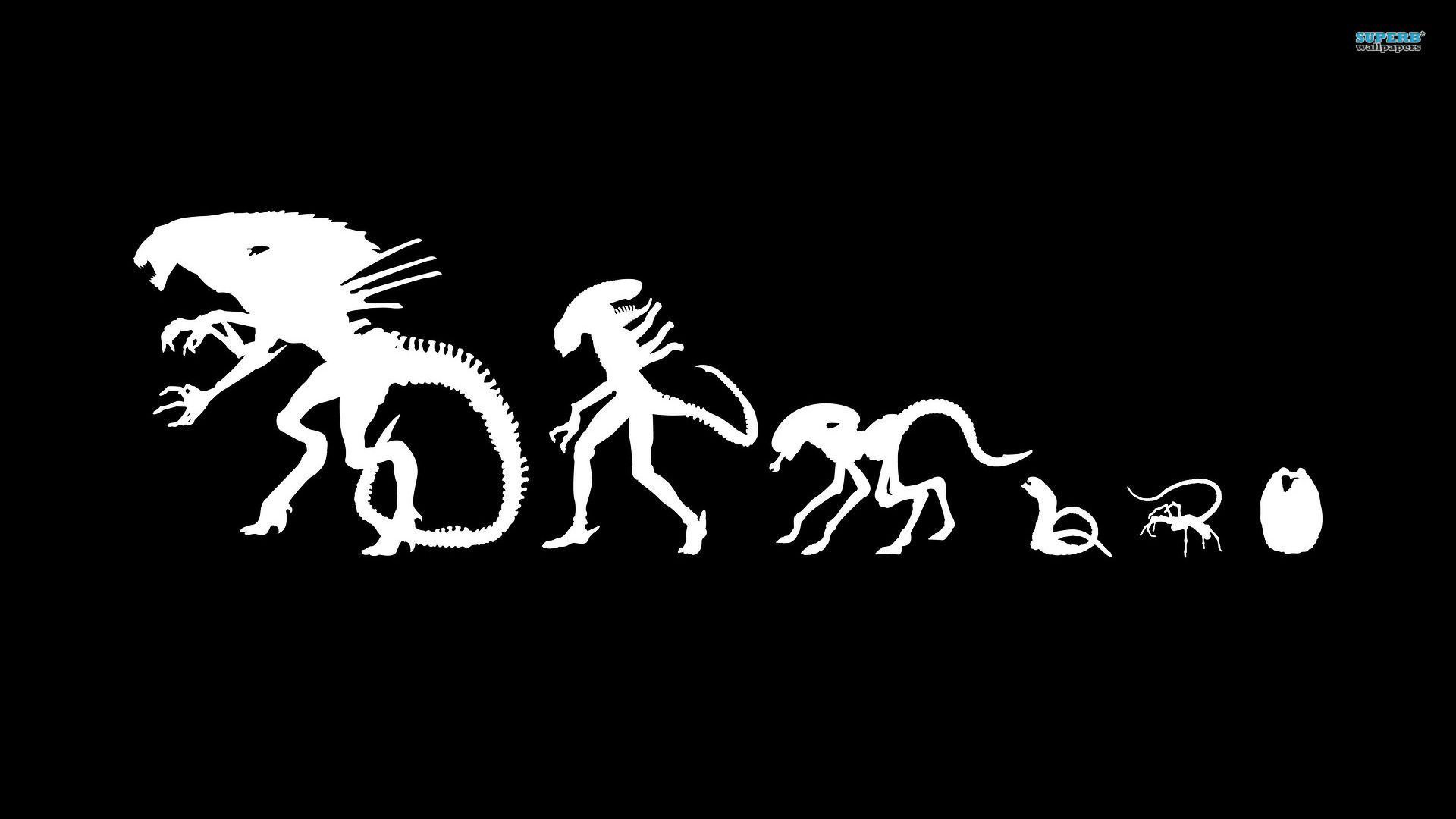 1920x1080 Alian Wallpapers Group