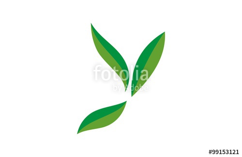500x324 Green Leaf Letter Y Logo Stock Image And Royalty Free Vector