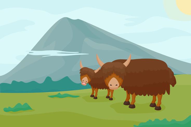 735x490 Yak Free Vector Art