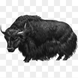 260x261 Yak Png, Vectors, Psd, And Clipart For Free Download Pngtree