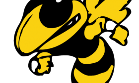 280x168 Yellow Jacket Clipart Clipart Panda