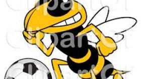 280x158 Yellow Jacket Mascot Clipart All About Clipart