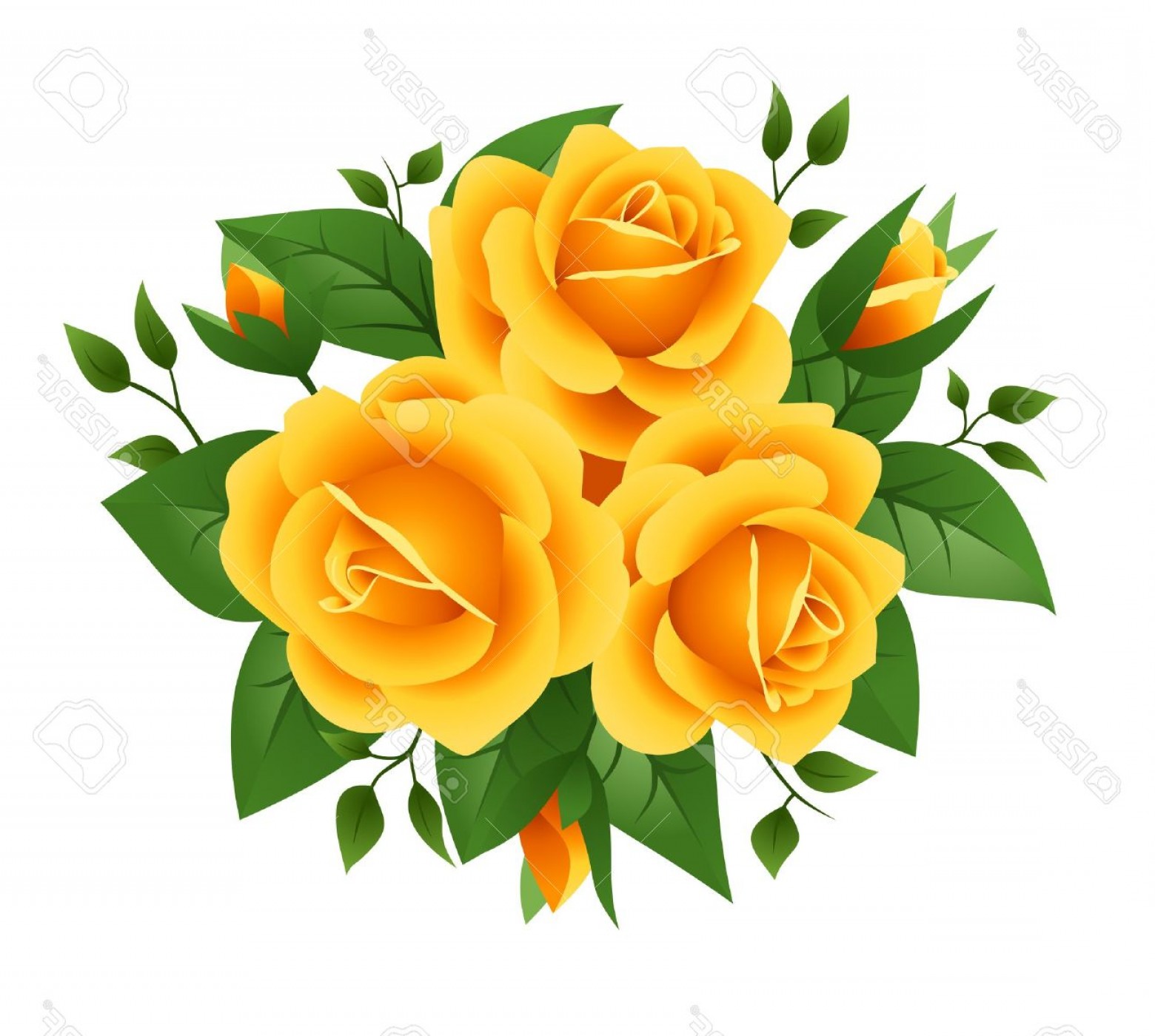 Yellow Rose Vector at GetDrawings | Free download