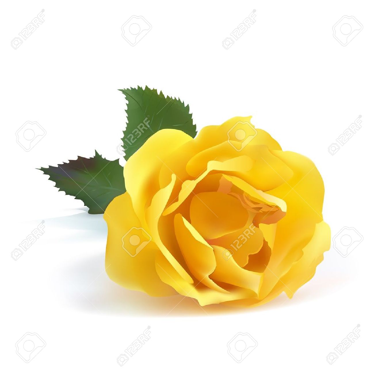 1300x1300 Single Yellow Rose Flower Images