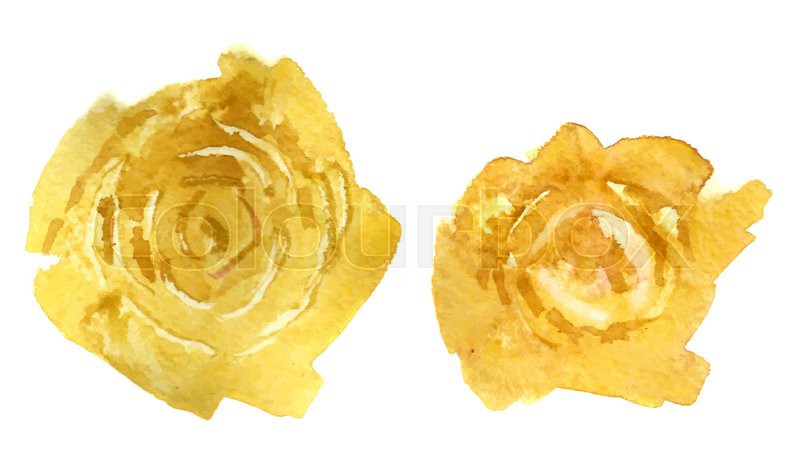 800x460 Watercolor Flower Yellow Roses. Stock Vector Colourbox