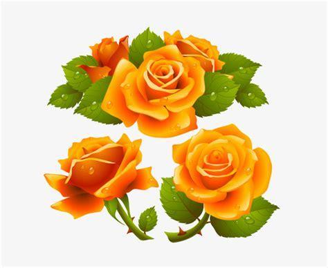 474x388 Yellow Rose Roses