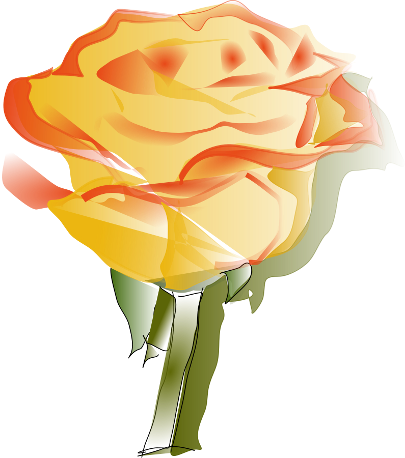 795x900 Yellow Rose Clipart Vector