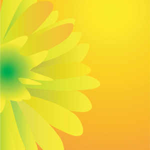 300x300 Yellow Vector Flover