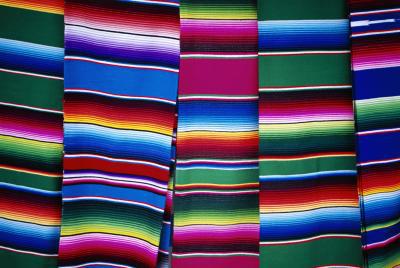 400x268 Zarape Vector