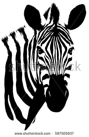 Zebra Head Vector