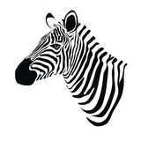160x160 Zebra Head Vector Stock Image And Royalty Free Vector Files On