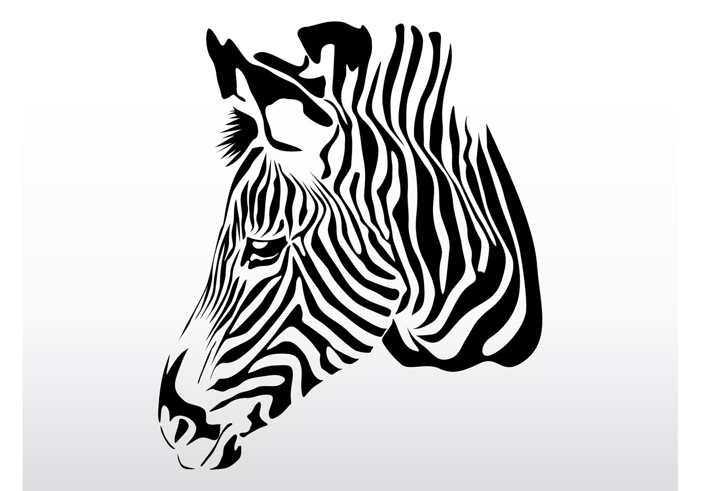 Zebra Head Vector at GetDrawings | Free download