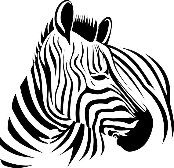 570x549 Zebra Head Graphics Svg Dxf Eps Png Cdr Ai Pdf Vector Art Etsy