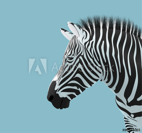500x469 Zebra Head