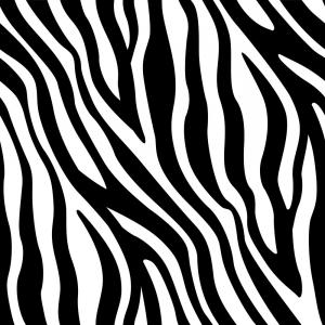 300x300 Zebra Stripes Seamless Pattern Vector Orangiausa
