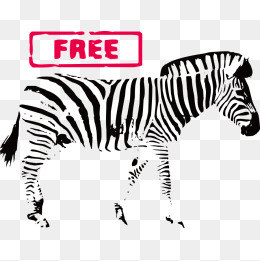260x261 Zebra Print Png, Vectors, Psd, And Clipart For Free Download Pngtree