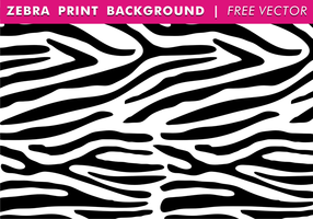 286x200 Zebra Print Vector