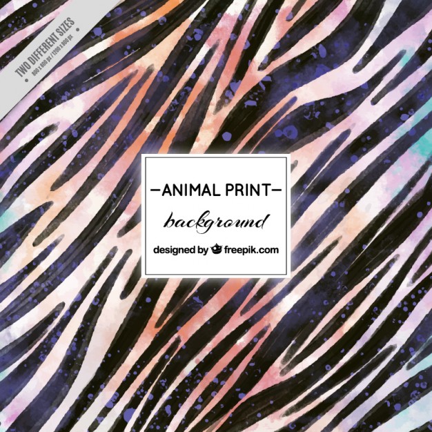 626x626 Zebra Print Vector Free Download